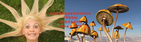 spice Надым
