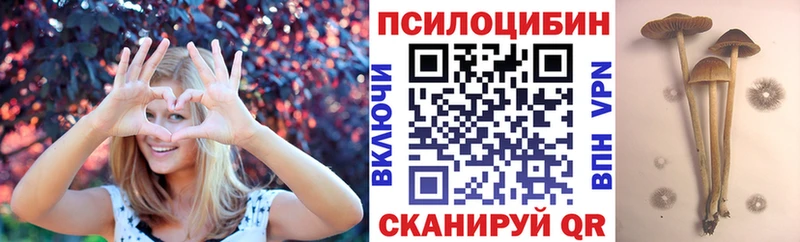 Галлюциногенные грибы Psilocybe Звенигово